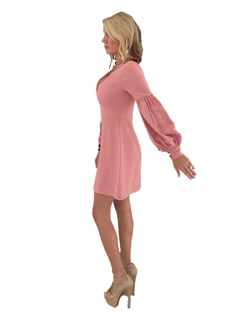 Alexis Ellena Dress in Ash Pink - SWANK - Dresses - 4